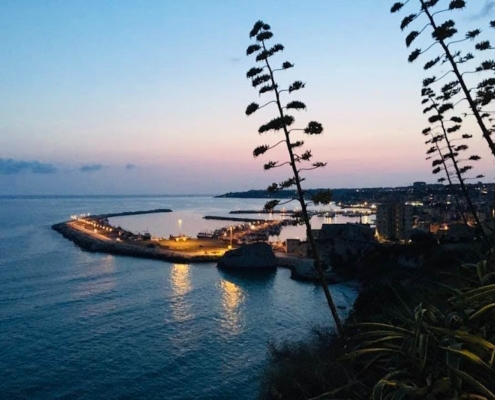 WhatsApp-Image-2022-02-21-at-18.59.09